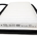 Filtro Aire Terios Bego 2008 - 2013 - Toyota